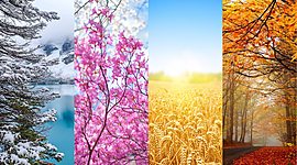 Timeline: Времена года