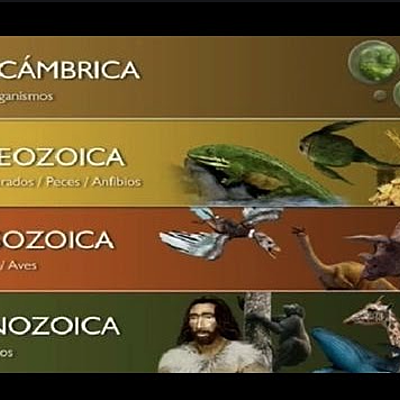 Timeline: Eras geológicas