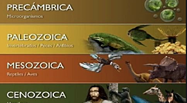 Timeline: Eras geológicas