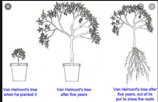 Jan Baptist van Helmont