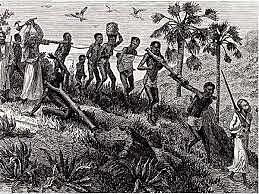 Las Rebeliones tienen sus repercusiones