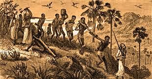 Jamaica sigue de pie