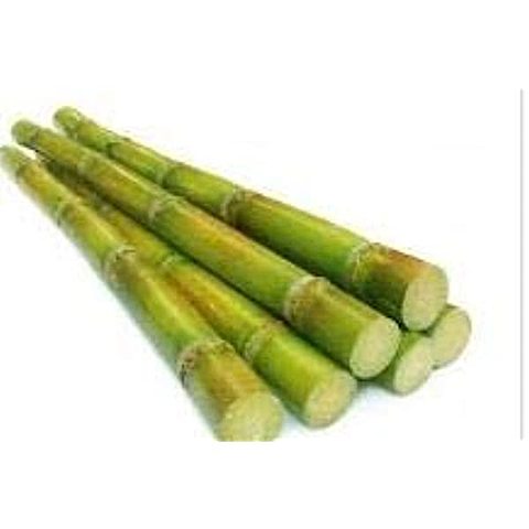 U.S. tariffs cause Hawaiian Sugar Cane prices to rise