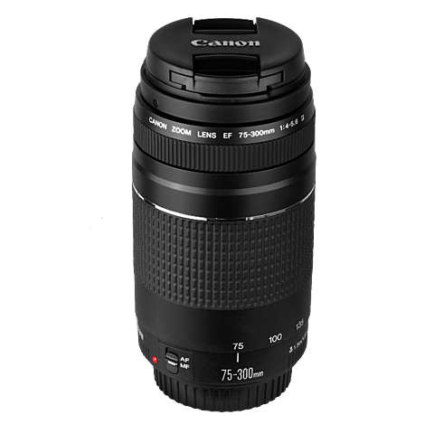 Lente Canon largo: Lente Canon Ef75-300 F/4-5.6 III