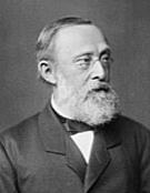 Rudolph Virchow's Contribution