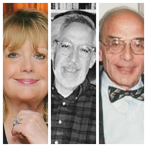 TEORIA DEL DESARROLLO ORGANIZACIONAL