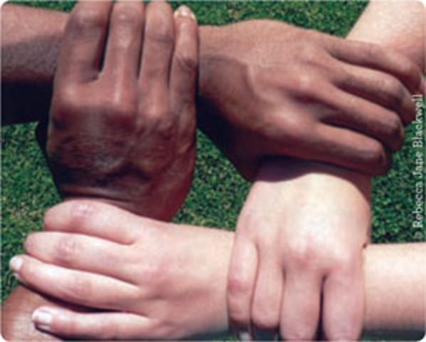 Convention eliminating racial discrimination .