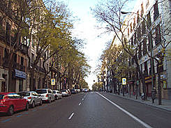 Último Año de Ferraz