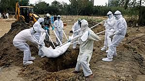 Pandemia por COVID 19