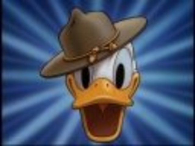 Donald Duck