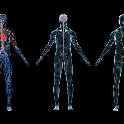 Timeline:  Establecimiento de la psicología como ciencia
