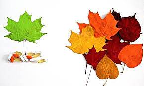 Reglamento de Control Sanitario de Productos y Servicios