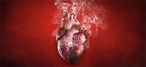 La OMS presenta los datos probatorios de la transmisión por COVID-19