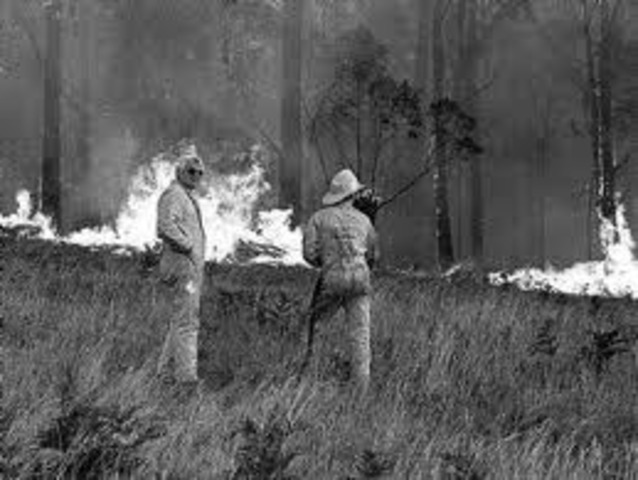 Ash Wednesday occurs