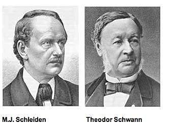 M.J. Schleiden y Theodor Schwann