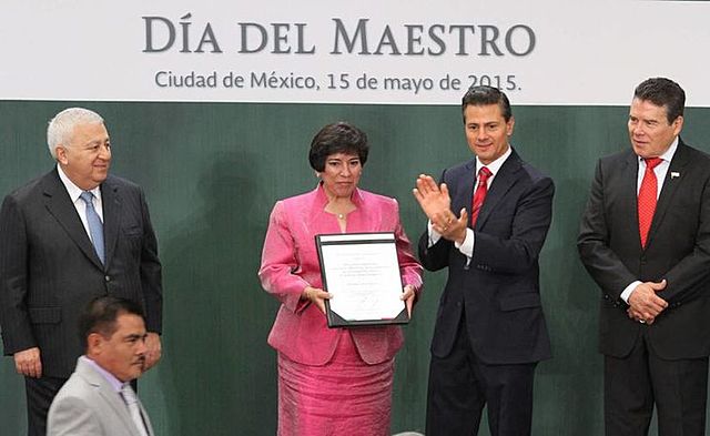 Servio profesional docente