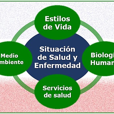 Timeline: Los antecedentes para llegar a entender los determinantes de la salud