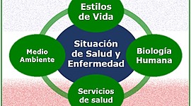 Timeline: Los antecedentes para llegar a entender los determinantes de la salud