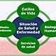 Campo de la salud enfermedad