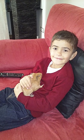 LA MEVA PRIMERA MASCOTA