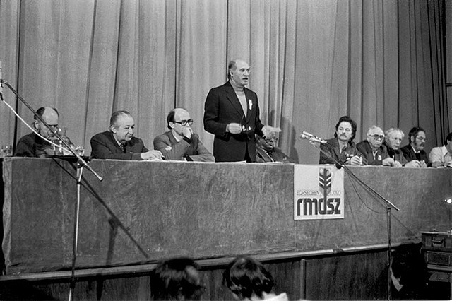 Megalakul az RMDSZ