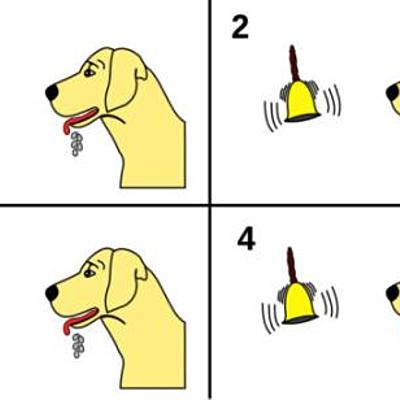 Timeline: Evolución y Origen del Condicionamiento Clásico y el Condicionamiento Operante