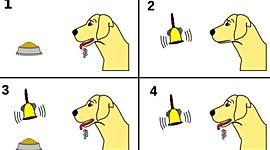 Timeline: Evolución y Origen del Condicionamiento Clásico y el Condicionamiento Operante
