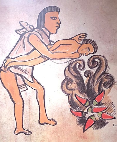 Origen del pimiento.