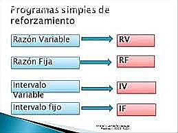 El programa de reforzamiento