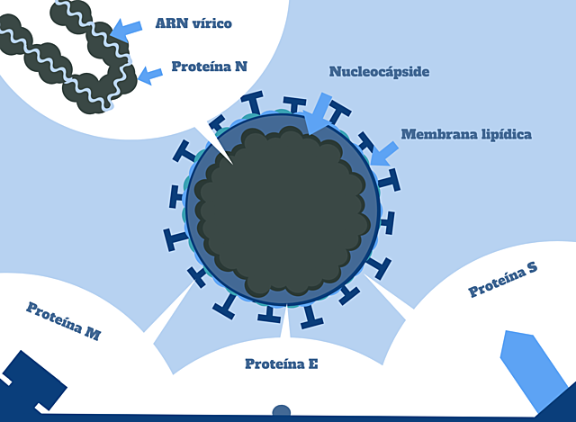 Secuenciación disponible para la OMS