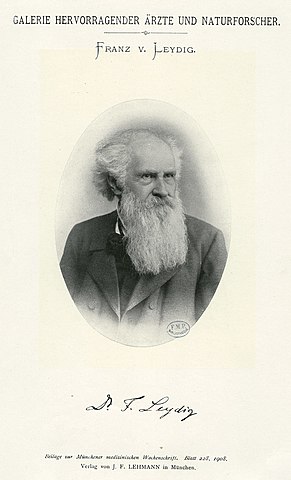 Franz Leydig