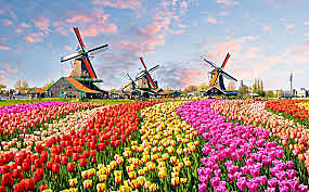 Holanda