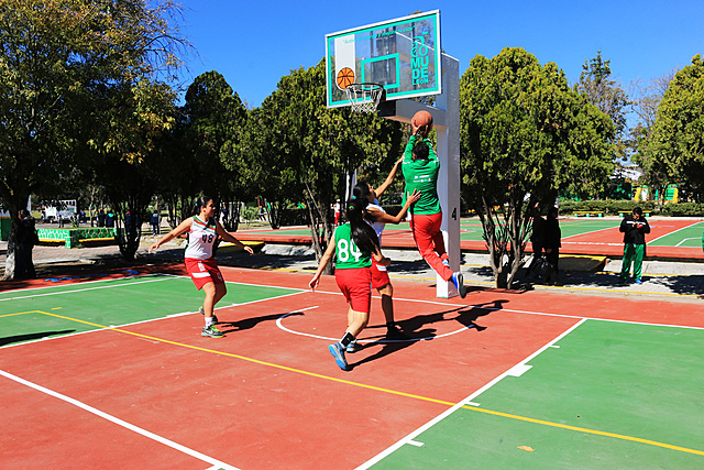 LNBP y los 12 Guerreros