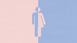 Timeline: Gender Equality