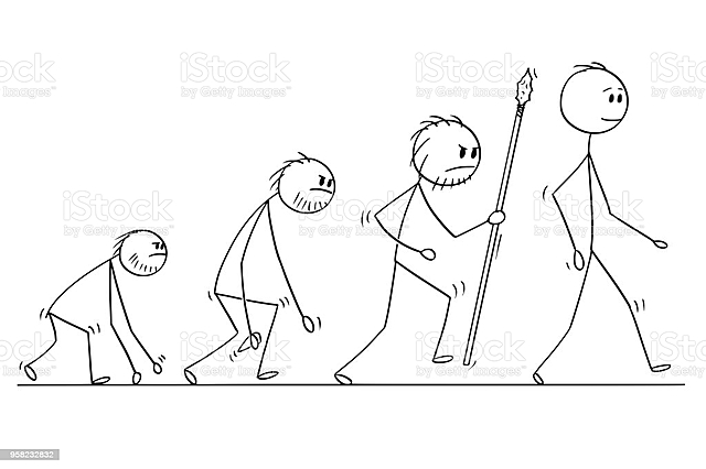 Evolución de presupuesto