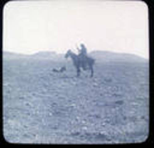 search of potential colony sites