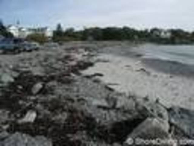 white men finally retern to roanoke island