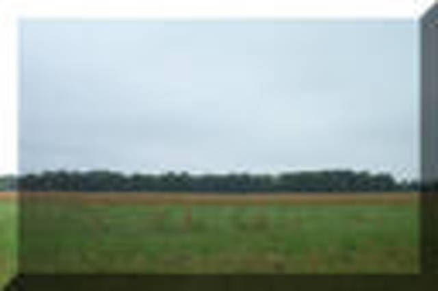 The white men are hurt