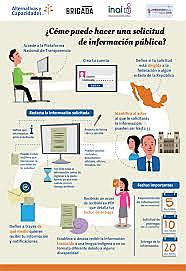 Mecanismos de acceso a la información pública