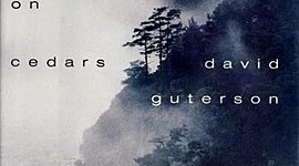 Timeline: Snow falling on cedars timeline