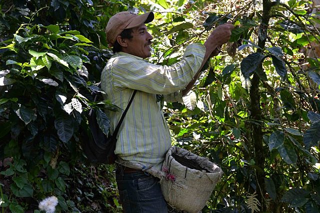 Actividad Aseguradora en Nicaragua