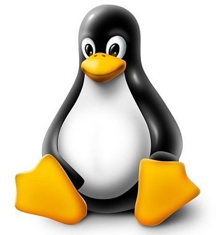 LINUX