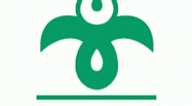 Timeline: Az MDF története