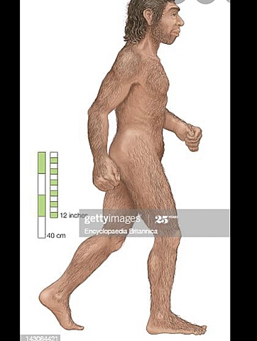 *Homo di Neanderthal