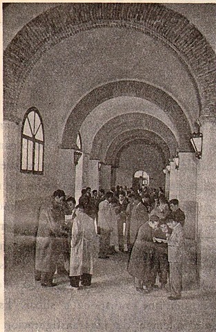 Servicios de Orientación Escolar en institutos y escuelas de Maestría y Aprendizaje Industrial