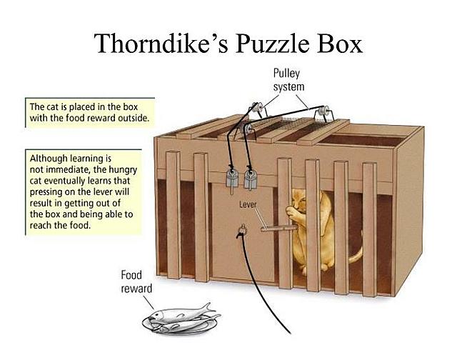 PROBLEM BOX THORNDIKE