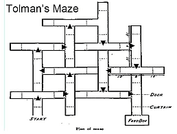 Articolo sull'apprendimento latente di TOLMAN