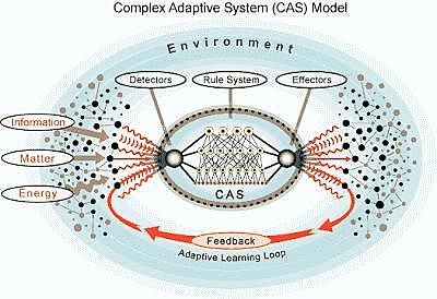 Sistema adaptativo complejo (CAS)