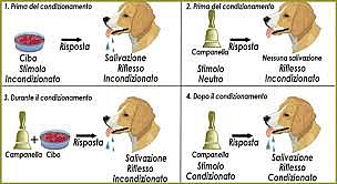 Pavlov scopre il riflesso condizionato