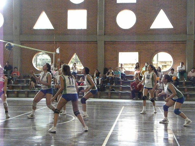 voleibol